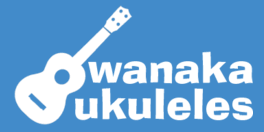 Wanaka Ukuleles - wedding entertainment